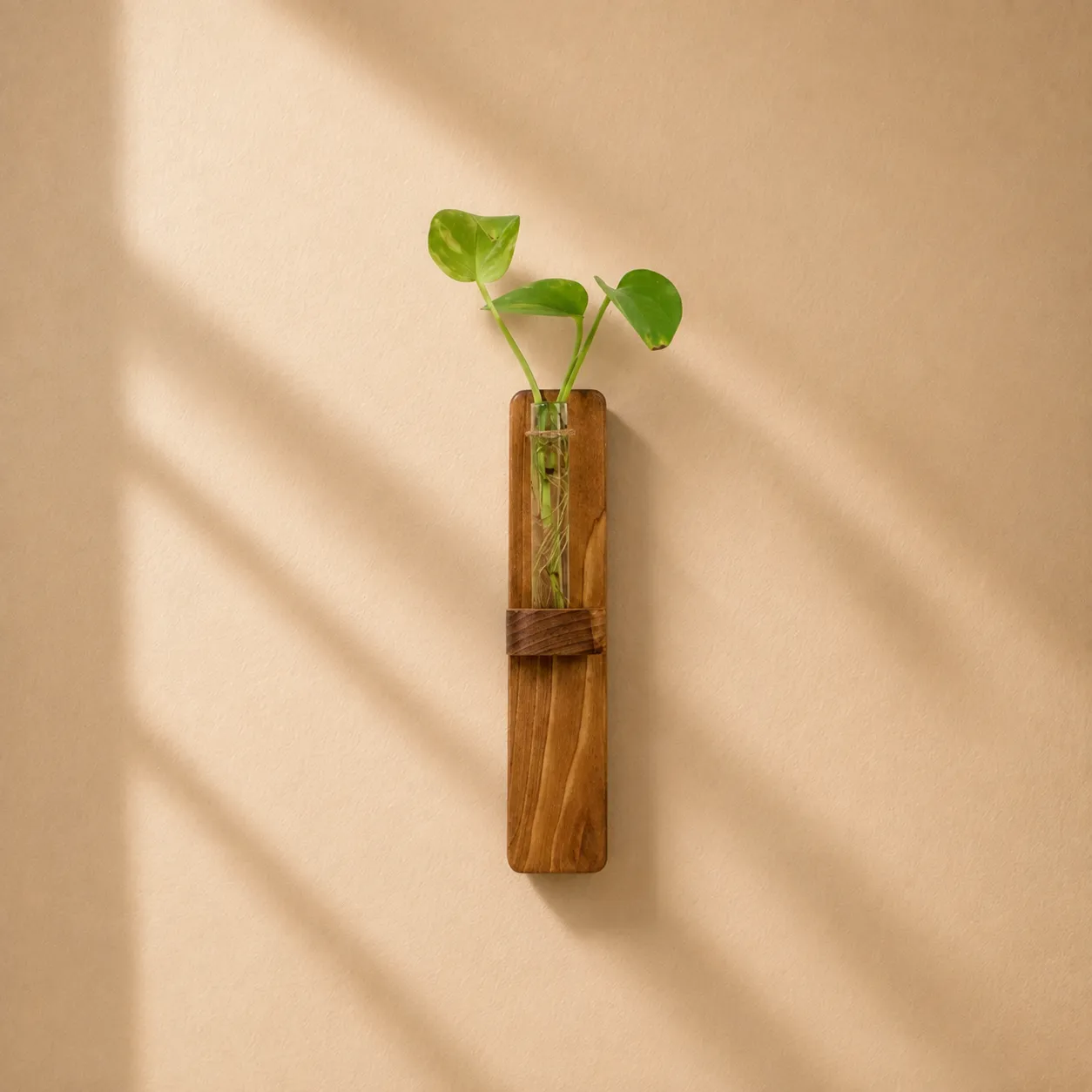adhesive-wall-mounted-wooden-vase گلدان چوبی دیواری مدل چسب دار - Image 1