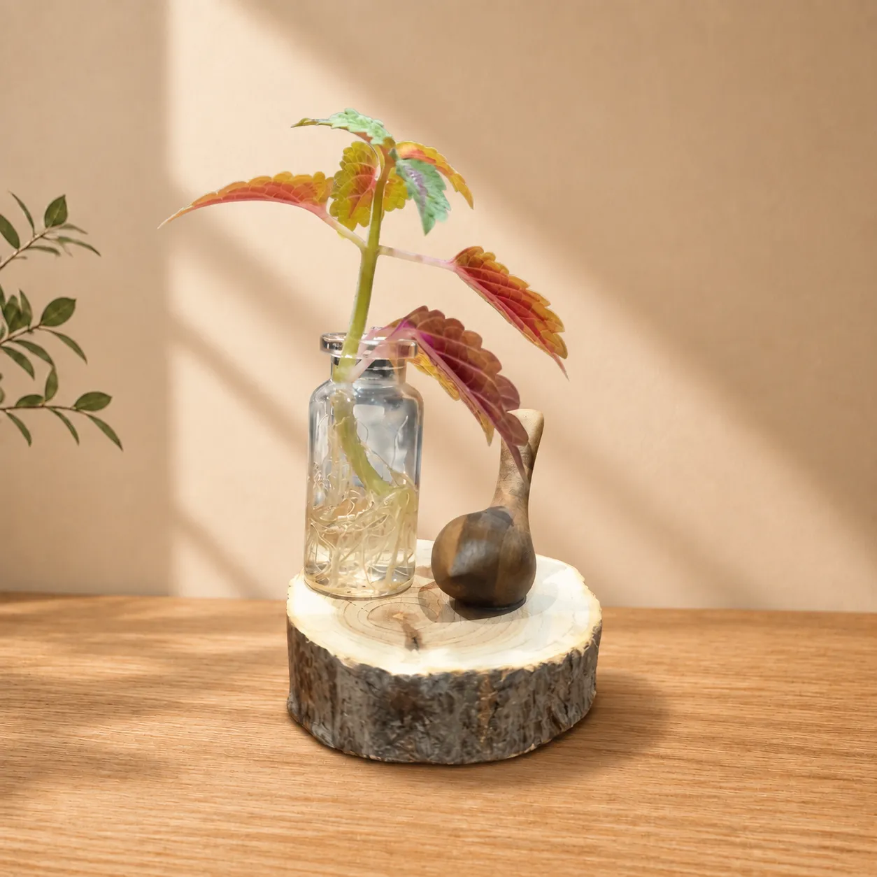morgh-amin-wooden-desktop-planter گلدان چوبی رومیزی مرغ آمین - Image 1